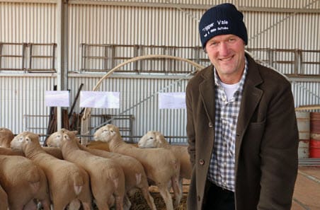 David Rutley TFI arthritis in sheep - Sheep Central