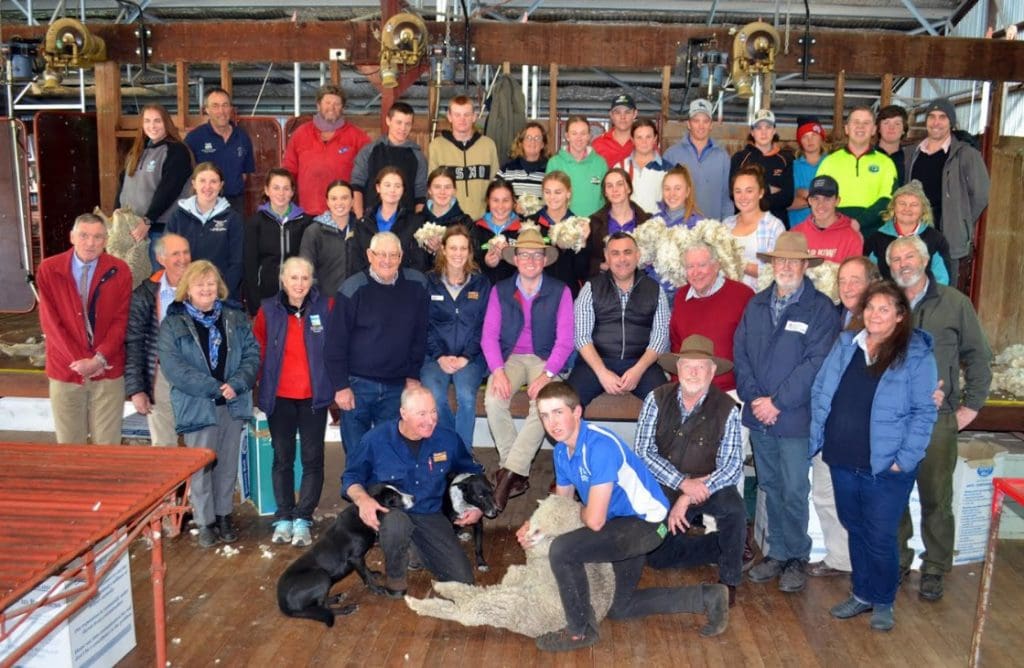 Growing NSW shearing school gets hands-on with politicians - Sheep Central