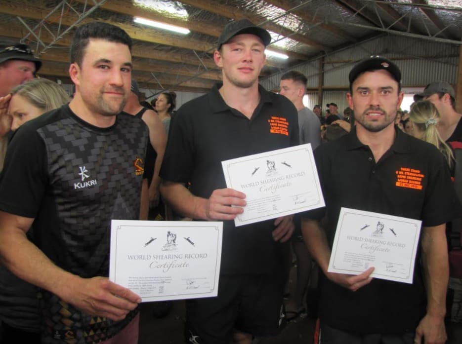 World shearing record attempts continue in Australia - Sheep Central